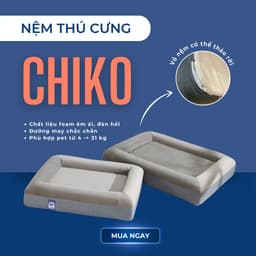 Thumbnail WOWS - Nệm Foam Thú Cưng Chiko - Đệm Ngủ Chó Mèo Cao Cấp - Vỏ Tháo Được, Mềm Mại, Đàn Hồi - S, M, L 4