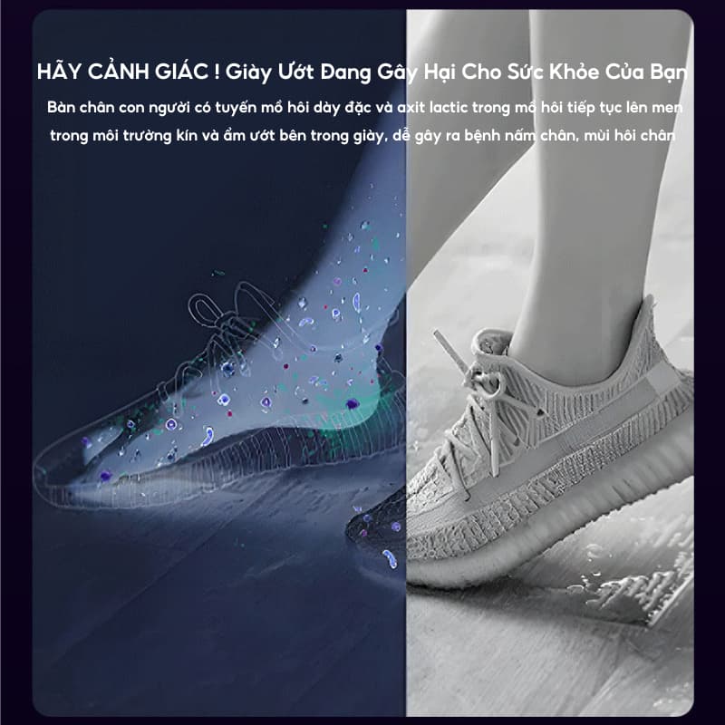 Ảnh Máy Sấy Khô Giày Gấp Gọn HOKU Khử Trùng Khử Mùi Hôi Tia UV Hiệu Quả, Sấy Nhanh Với Chức Năng Hẹn Giờ Thông Minh MSG03 3