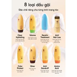 Thumbnail Combo dầu gội kiềm dầu Arganmidas tạo phồng chân tóc và Ủ Collagen siêu dưỡng ẩm Phục Hồi Tóc Hư450ml 2