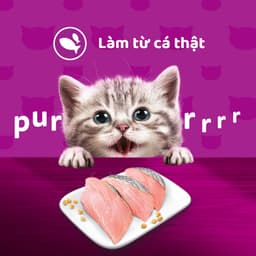 Thumbnail Thức ăn cho mèo con WHISKAS Junior dạng sốt – túi 80g 3