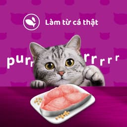 Thumbnail Thức Ăn Dạng Sốt Cho Mèo Trưởng Thành WHISKAS - 80g 2
