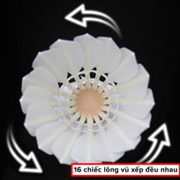 Thumbnail Bộ 3 Quả Cầu Lông Lông Vũ Tự Nhiên Nhẹ, Bền, Đẹp, Chắc Chắn Có Hộp Đựng Quả Cầu Lông Chính Hãng Amalife 3