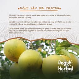 Thumbnail Tinh Dầu Thiên Nhiên Cao Cấp CAM NGỌT Thơm Phòng, Thư Giãn Dego 10ml - Tặng kèm que khuếch tán 3