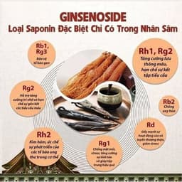 Thumbnail Hồng Sâm Hữu Cơ Cải Thiện Sức Khỏe KJH Dạng Stick - Sâm Hàn Quốc  Dành Cho Người Trưởng Thành 4