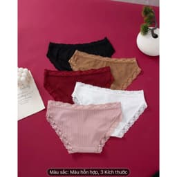 Thumbnail Quần lót nữ Vicci QV.45 cao cấp mềm mịn co giãn 4 chiều 3