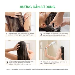 Thumbnail Combo Chăm sóc  da đầu chuyên sâu, hỗ trợ giảm gàu, nấm, giúp da dầu khoẻ 3