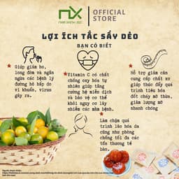 Thumbnail Nam Xanh Tắc Sấy Dẻo Mật Ong Dried Kumquat Honey 140g(160g) 2
