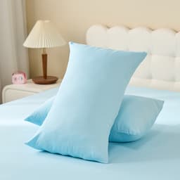 Thumbnail vỏ gối lụa tencel Goodnight Airsilk 5 tone màu pastel 45x65cm 1