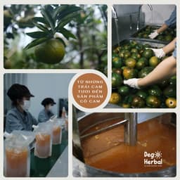 Thumbnail Sữa tắm dưỡng thể Cô Cam trắng sáng da Dego 500ML - Dưỡng ẩm, mịn và sáng da 4
