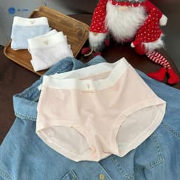 Thumbnail Combo 5 Quần Lót Nữ  Modal Cạp Vừa Mềm Mịn Màu Pastel (45-62kg) QL1050 by BeChipi 2