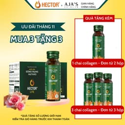 Thumbnail Nước Nấm Đông Trùng Hạ Thảo Hector Lite (50ml x 10 chai) 1