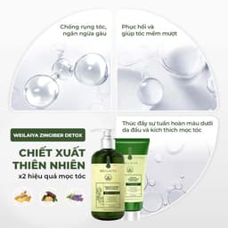 Thumbnail Bộ gội xả gừng Vân Nam cao cấp Weilaiya Luxury x2 hỗ trợ mọc tóc, giảm gãy rụng chống lão hóa da đầu 3