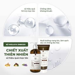 Thumbnail Bộ gội xả tinh chất gừng hà thủ ô cao cấp Weilaiya Luxury giúp mọc tóc và phục hồi tóc hư tổn 3