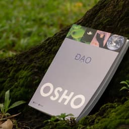 Thumbnail Sách - Bộ 10 Cuốn OSHO : Đạo, Tantra, Đức Phật, Thiền, Upanishad, Đàn ông, Phụ nữ, Ươm mầm, Bản ngã, Ba bước tỉnh thức. 2