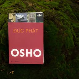 Thumbnail Sách - Bộ 10 Cuốn OSHO : Đạo, Tantra, Đức Phật, Thiền, Upanishad, Đàn ông, Phụ nữ, Ươm mầm, Bản ngã, Ba bước tỉnh thức. 3