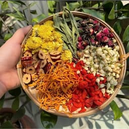 Thumbnail Trà Đông Trùng Hạ Thảo 7 Vị Thảo Mộc Camifarm Thanh Lọc, Đẹp Da, Giữ Dáng, Ngủ Ngo 3