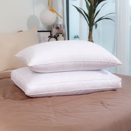 Thumbnail Ruột Gối Nằm Gòn Lông Vũ Cao Cấp Gòn Bedding Lux. Choice 50x70cm 1