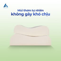 Thumbnail Gối Cao Su Aroma 40cm x 60cm - Lượn Sóng và Ovan - Giao Ngẫu Nhiên 1