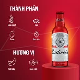 Thumbnail Thùng 24 Chai Aluminum Bia Budweiser Chính Hãng (355ml/ chai) 3