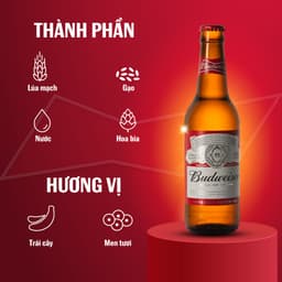 Thumbnail Thùng 24 Chai Bia Budweiser Chính Hãng (330ml/Chai) 3