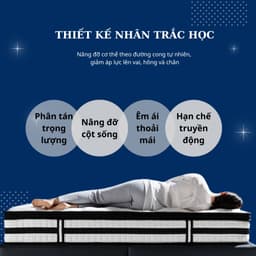 Thumbnail NÊM LÒ XO TÚI HÚT CHÂN KHÔNG Cao Cấp SAMICK HIGHEND EUROTOP Hàn Quốc - Bảo vệ cột sống 2