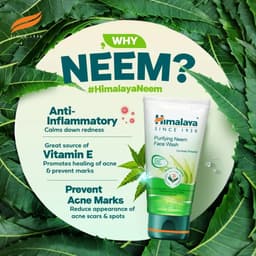 Thumbnail Sữa rửa mặt neem Himalaya Purifying Neem Face Wash 150ml TẶNG Mặt nạ đất sét 50ml 4