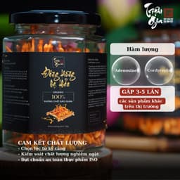 Thumbnail Đông trùng hạ thảo tự nhiên sấy thăng hoa Triệu Gia tăng cường sức khỏe cải thiện lão hóa 3