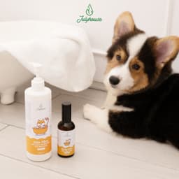 Thumbnail Combo Sữa tắm cho chó mèo 150ml/500ml và Xịt thơm dưỡng lông bodymist cho chó mèo 100ml Julyhouse 2