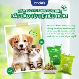 Thumbnail Cado's - Hạt rau ăn kèm cho mèo cados - Vị cá hồi - DrKyan 3