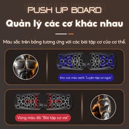 Thumbnail KOL - BG-Dụng Cụ Tập Hít Đất Chống Đẩy Có Vạch Kẻ Màu Theo Nhóm Cơ Rh003 4