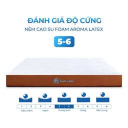 Thumbnail Nệm Cao Su Foam Latex  Aroma, Kết Hợp Cao Su Thiên Nhiên Đàn Hồi Tốt, Êm Ái, Nâng Đỡ Cơ Thể Tốt, Bảo Hành 10 năm 4
