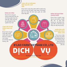 Thumbnail Túi Giấy Đựng Cà Phê, Quà Tặng - B'LAO FARM - Kích Thước 38x25x15cm - Chất Liệu Giấy Couche 250 Cao Cấp 3