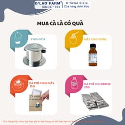Thumbnail Trà Cascara Nguyên Chất B'LAO FARM Trà Từ Vỏ Quả Cà Phê Arabica Chín Giàu Chất Chống Oxy Hoá, Tăng Sự Tập Trung 4