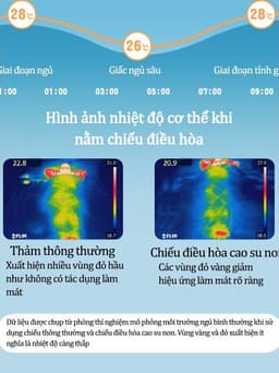 Thumbnail Chiếu Điều Hòa Cao Su Non IQKAO Cho Bé Kèm Gối Mát Lưng, Thoáng Khí, Không Cần Bật Điều Hòa – Size 60x120cm 1