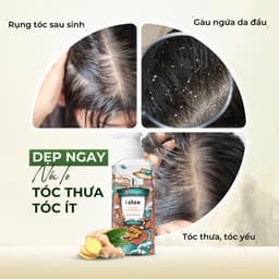 Thumbnail Dầu Gội Gừng I SHOW Hỗ Trợ Mọc Tóc Giảm Gàu Ngứa Kiềm Dầu Phồng Tóc - Dầu Gội I SHOW Chính Hãng 3