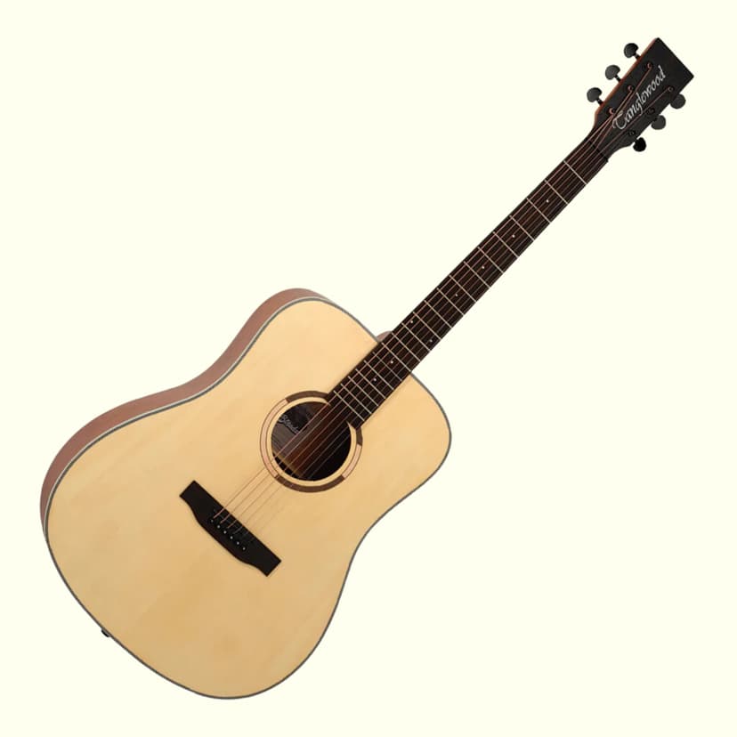 Ảnh Đàn Guitar Acoustic Tanglewood, đàn guitar Classic TS5 thiết kế basic chất liệu gỗ cao cấp - Việt Thương Music 1