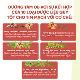 Thumbnail Giảm mỡ máu, ngừa tai biến Dưỡng tâm Ob, Tốt Cho Tim Mạch, Huyết Áp( Hộp 60 viên) 4