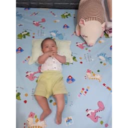 Thumbnail Ga chống thấm cotton TILO bọc cũi, giường lau được, thoáng mát không nóng bí, không sột soạt 20 size 4