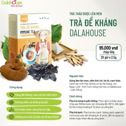 Thumbnail Trà đề kháng Dalahouse hộp 20 gói x 2.5g tăng cường miễn dịch tăng sức đề kháng 3