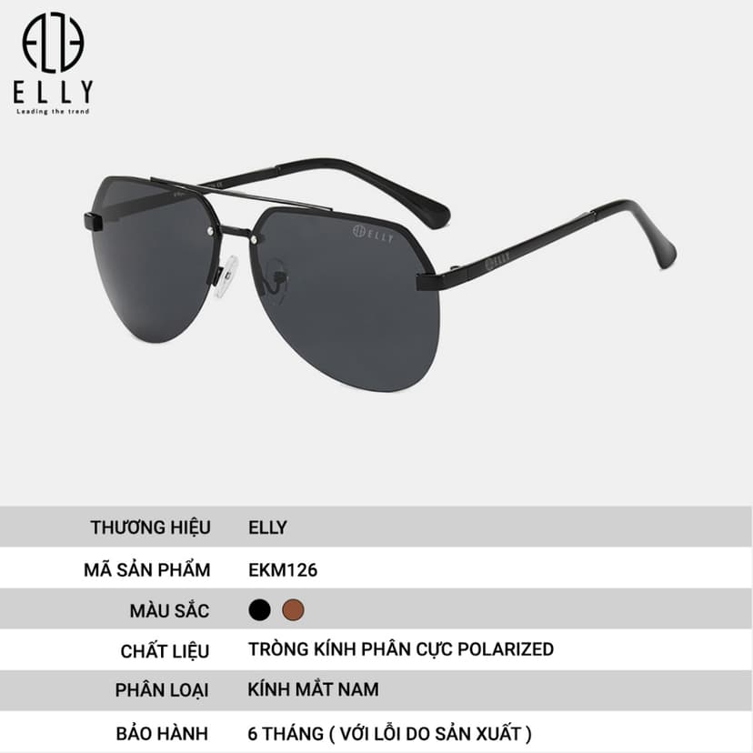 Ảnh Kính mắt nam cao cấp ELLY – EKM126 2