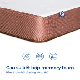 Thumbnail Nệm Cao Su Foam Latex  Aroma, Kết Hợp Cao Su Thiên Nhiên Đàn Hồi Tốt, Êm Ái, Nâng Đỡ Cơ Thể Tốt, Bảo Hành 10 năm 3