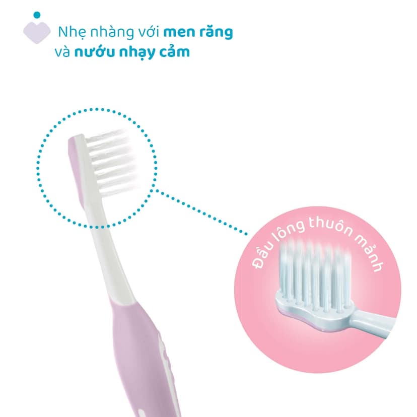 Ảnh Bàn chải đánh răng Tím hồng/Xanh biển Chicco 6-36M 4