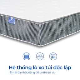 Thumbnail Nệm Lò Xo Túi Độc Lập Aroma Cool Coil 2 Viền, Chính Hãng, Bảo Hành 10 Năm 3