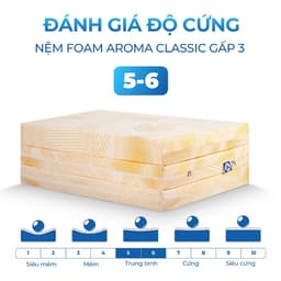 Thumbnail Nệm Foam Aroma Classic Gấp 3, Nệm Gấp Gọn Thông Minh, Êm Ái, Bảo Hành 10 Năm. 4