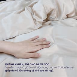 Thumbnail Vỏ gối Tencel Châu Âu cao cấp Changmi Bedding siêu mềm mượt và mát lạnh - 1 chiếc 4