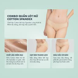 Thumbnail Combo 3 quần lót nữ ONOFF cotton USA x Spandex mềm mịn, thoáng mát - 16UQ24A015 2
