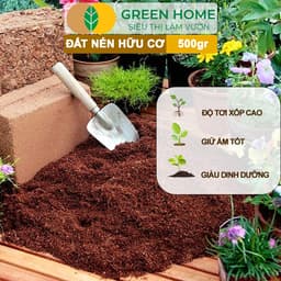 Thumbnail Đất Trồng Cây Greenhome, Viên Nén 500gr, Đã Qua Xử Lý, Bổ Sung Vi Sinh, Nở Gấp 5 Lần, Trồng Rau Hoa 2