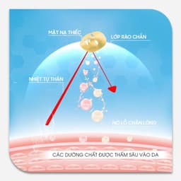 Thumbnail Combo 10 Mặt Nạ BNBG Hỗ Trợ Chống Lão Hóa, Giảm Nếp Nhăn BNBG Vita Cocktail Age Foil Mask 30mlx10 4