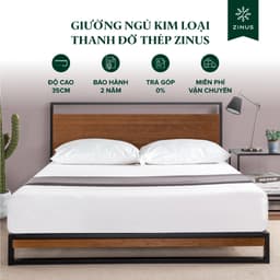 Thumbnail Giường Gỗ Khung Kim Loại – Zinus Ironline Platforma Bed 1