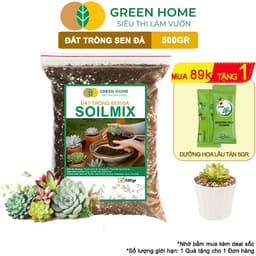 Thumbnail Đất Trồng Sen Đá Greenhome, Soil Mix, Bao 500gr, Trộn Sẵn, 85% Đá Khoáng, Lên Màu, Thoát Nước Tốt 1